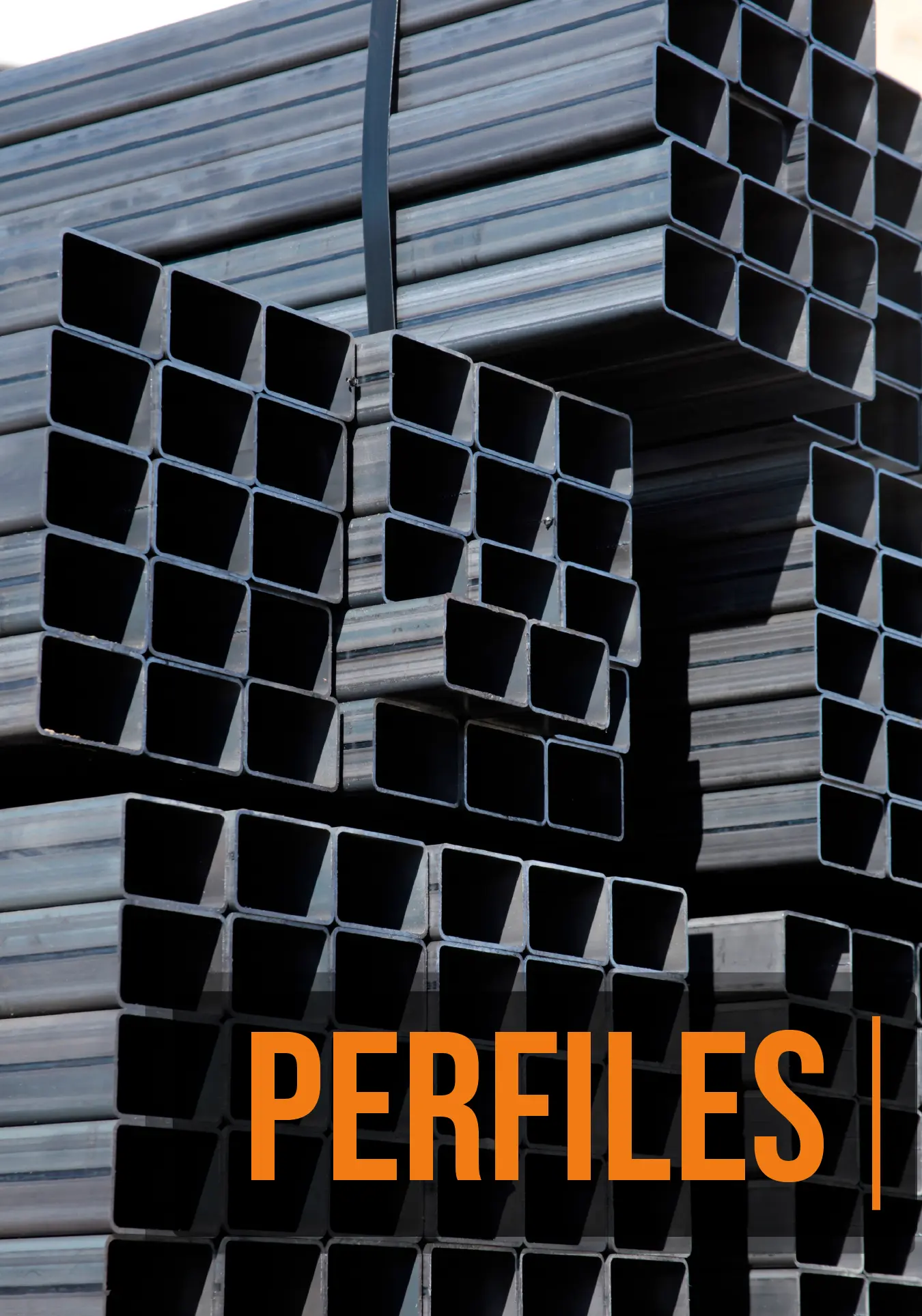 Perfiles (2)