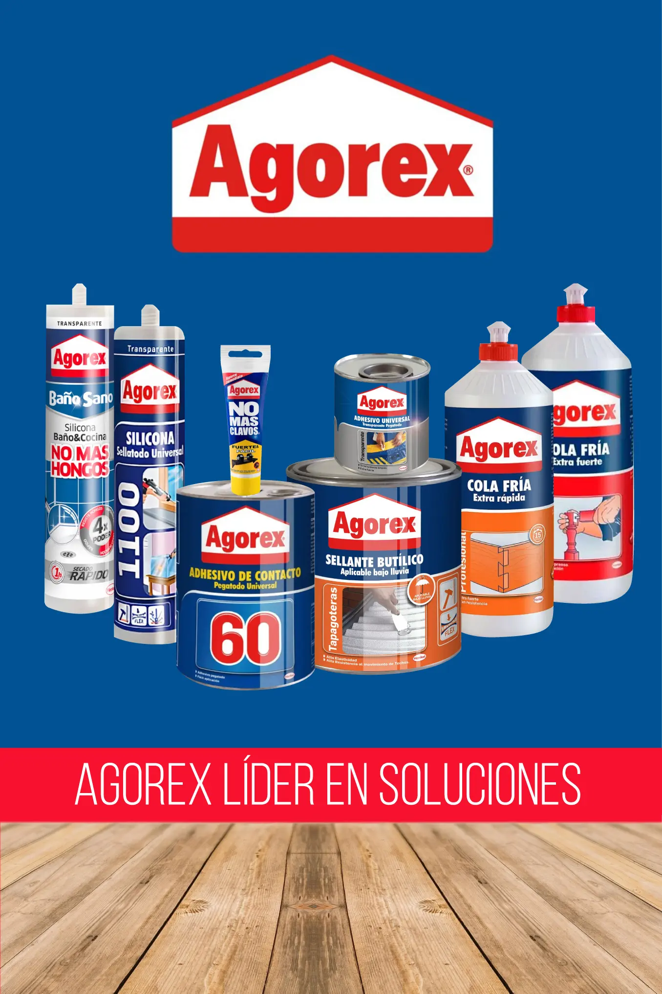 aGOREX-V.2